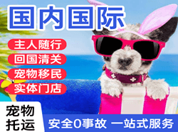 湿地航空空运国际宠物托运 【国
